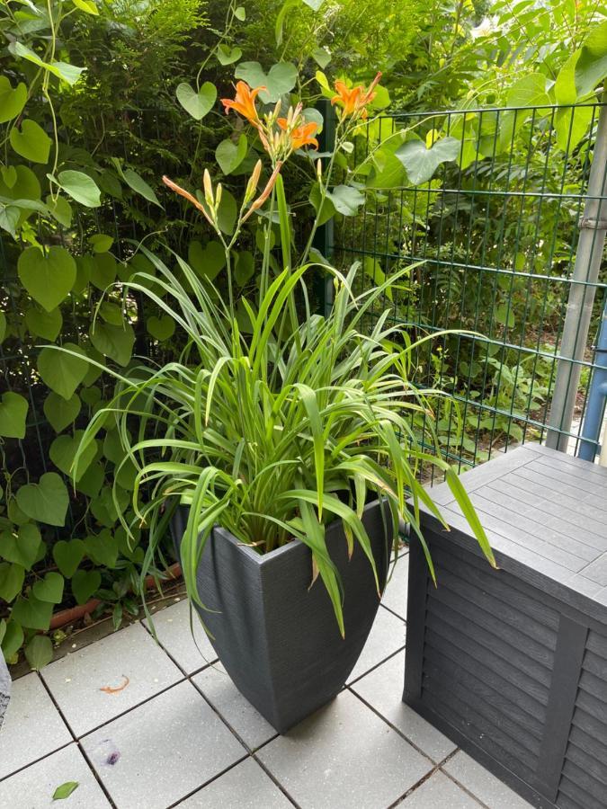 Sonnige Wohnung Im Zentrum Mit Terrasse U Tiefgarage - Netflix & Prime Лейпциг Экстерьер фото